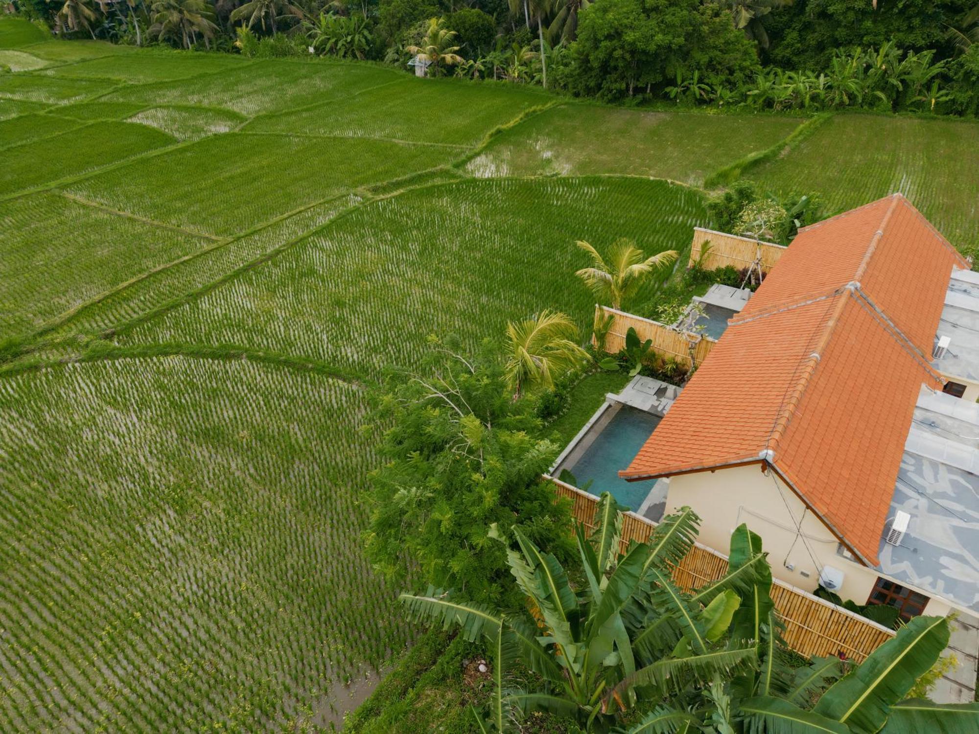 Uma Rimbun Pool Villa By Uniquecations Ubud Exteriér fotografie